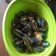 Cooksnap dari Hendrawan Adi Nugraha untuk resep Kerang ijo saus tiram