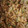 Haniyah Arham's cooksnap of when they made மதுரை கொத்து கறி தோசை- பச்சரிசியில் செய்தது (Kothu kari dosai recipe in tamil).