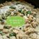 Cooksnap dari Dapur. Ayu untuk resep Tempe Santan Cabe Ijo