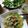 Cooksnap của Le Ngoc khi họ làm theo món Mỳ gà nấu nấm