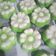 Cooksnap dari Ayin Topik untuk resep Putu Ayu Menul
