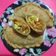 Cooksnap dari Dedew Criwi untuk resep Pastel isi kentang wortel dan makaroni ayam susu