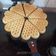 Cooksnap dari nilis untuk resep Belgian Waffle