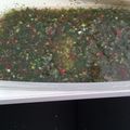 El cooksnap de Giuliana Belén Suárez cuando hizo Chimichurri.