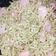 Cooksnap dari tilvi ummu hana untuk resep Mie Goreng Jawa