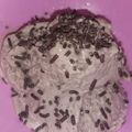 Cooksnap dari Zahra Nurlita Lubis untuk resep Resep Es Krim Mudah ala Wall's