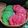 Cooksnap dari Silvi Atgi Septina untuk resep Kue Cucur Rainbow