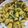 Nisha's cooksnap of when they made ખાંડવી(Khandvi Recipe in Gujarati).
