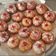 صورة من ندووش🥀، شاركها بعد تجربة وصفة 🍩 دونات بطريقتي سهلة وسريعه 🍩