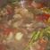 Cooksnap dari heca wahyuni untuk resep Sup daging sapi