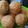 Kuldeep Kaur's cooksnap of when they made Besan ladoo.