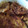 El cooksnap de DelicIANNcook cuando hizo Bacaladillas en ajada al pimentón.