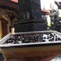 Cooksnap dari diah adriyani untuk resep Regal Dessert Box