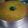 Cooksnap dari Putu Artana untuk resep Bolu pandan santan