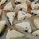 Cooksnap dari Maya Pahlevi untuk resep Buttermilk Cheese and Choco Chip Scones