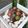 Cooksnap dari Tirra untuk resep Kolak Candil Ubi Jalar (#postingrame2_recookumbiumbian)