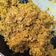 Cooksnap dari Puji untuk resep Bumbu Betutu