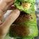 Cooksnap dari Iin Iin untuk resep Killer Soft Bread #ketopad_cp_recook