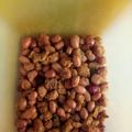 Cooksnap dari Prapty Syadefa untuk resep Kacang disko daun jeruk