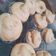 Cooksnap dari Nicholin Cute untuk resep Choux au Craquelin (Soes Jepang)