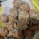 Cooksnap dari eslan borusimbolon untuk resep Kue Ketawa (Roti Mekel)