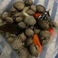 Cooksnap dari Natalia S Brahmana untuk resep Kerang dara rebus