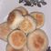 Cooksnap dari RaRa Maulana BundAkhmal untuk resep Bakpia Pathuk versi Kering (Cokelat-Keju)