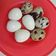 Cooksnap dari Dipha_dhip untuk resep Telur rebus praktis 5 menit