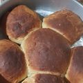 El cooksnap de Maria Calderón cuando hizo Panecillos de dulce.