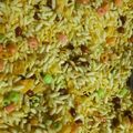 PRIYANKA DUDANI's cooksnap of when they made પૌંવા મમરા નો ચેવડો (Riceflex & Ricepuffs Mixture Recipe In Gujarati)Gujarati.