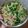 รูป Cooksnap ของ Narm เมื่อเขาทำ ลาบปลาดุก