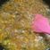 Cooksnap dari Nuryani Usdek untuk resep Sup jagung