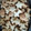 El cooksnap de georgina89 cuando hizo Galletitas.