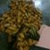 Cooksnap dari Citra Dewi untuk resep Tempe Orek ala Warteg