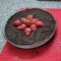 El cooksnap de Cecilia Baccino cuando hizo Cheesecake de galletitas Oreo y frutillas.