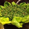صورة من شروق أبو حمورchef.shoroq abu hammour 👩🏻‍🍳👑، شاركها بعد تجربة وصفة تبوله