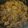 Syma Huq's cooksnap of when they made Mutton Rezala.