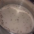El cooksnap de Gris MonSa cuando hizo Agua de avena (dorada).
