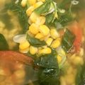 Cooksnap dari Erlin Asih Wulandari untuk resep Sayur Bening Bayam Jagung