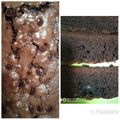 Cooksnap dari Husnul toyibah untuk resep Chewy Fudgy Shiny Brownies Takaran Sdm