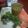  Hena Sarkar's cooksnap of when they made Aam Panna.