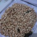 Cooksnap dari Mechiko Bubleblue untuk resep Kacang kupas kriuk
