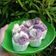 Cooksnap dari Syapna untuk resep Bolu Kukus Mekar