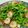 รูป Cooksnap ของ piya peipei เมื่อเขาทำ หน่อไม้ฝรั่งผัดเห็ดหอม