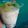 Cooksnap dari Farah Ain untuk resep Es teler viral kuah creamy