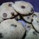 El cooksnap de LorenaM cuando hizo Galletas de chips de chocolate.