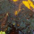 Cooksnap dari Murli Nuraini untuk resep Bumbu Oles Ikan Bakar (Bumbu Bakar Serbaguna, bisa untuk lauk apa saja)