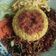 Cooksnap dari Ellen untuk resep Nasi kuning magic com