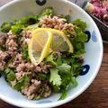 Aunty Eiko's international cuisine experience 's cooksnap of when they made Larb Moo (Minced Pork Spicy Salad).