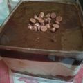 Cooksnap dari Desty LaBelle untuk resep Oreo dessert box